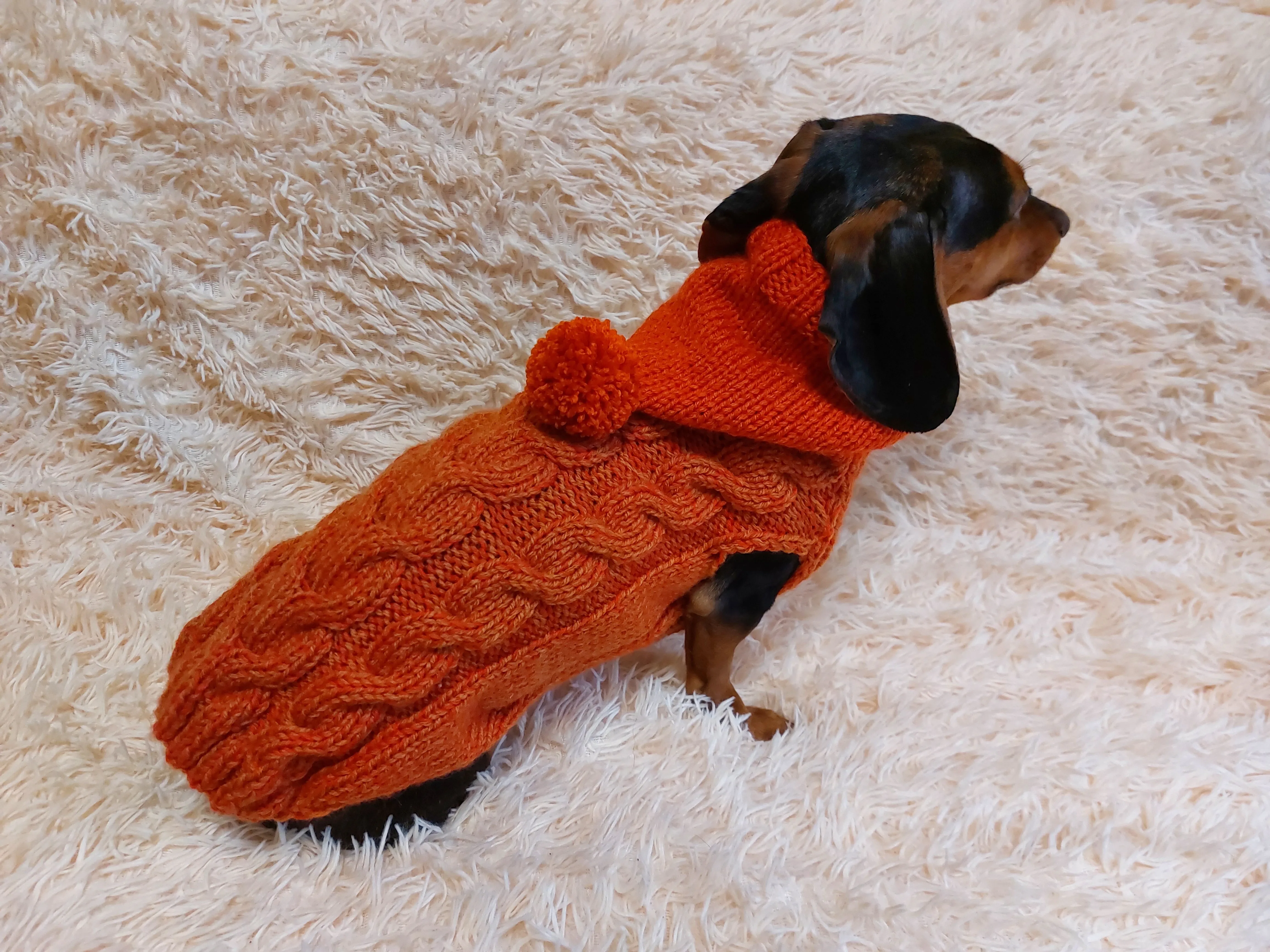 Dachshund clothes knitted hoodie sweater, knitted wool sweater for dachshund or small dog