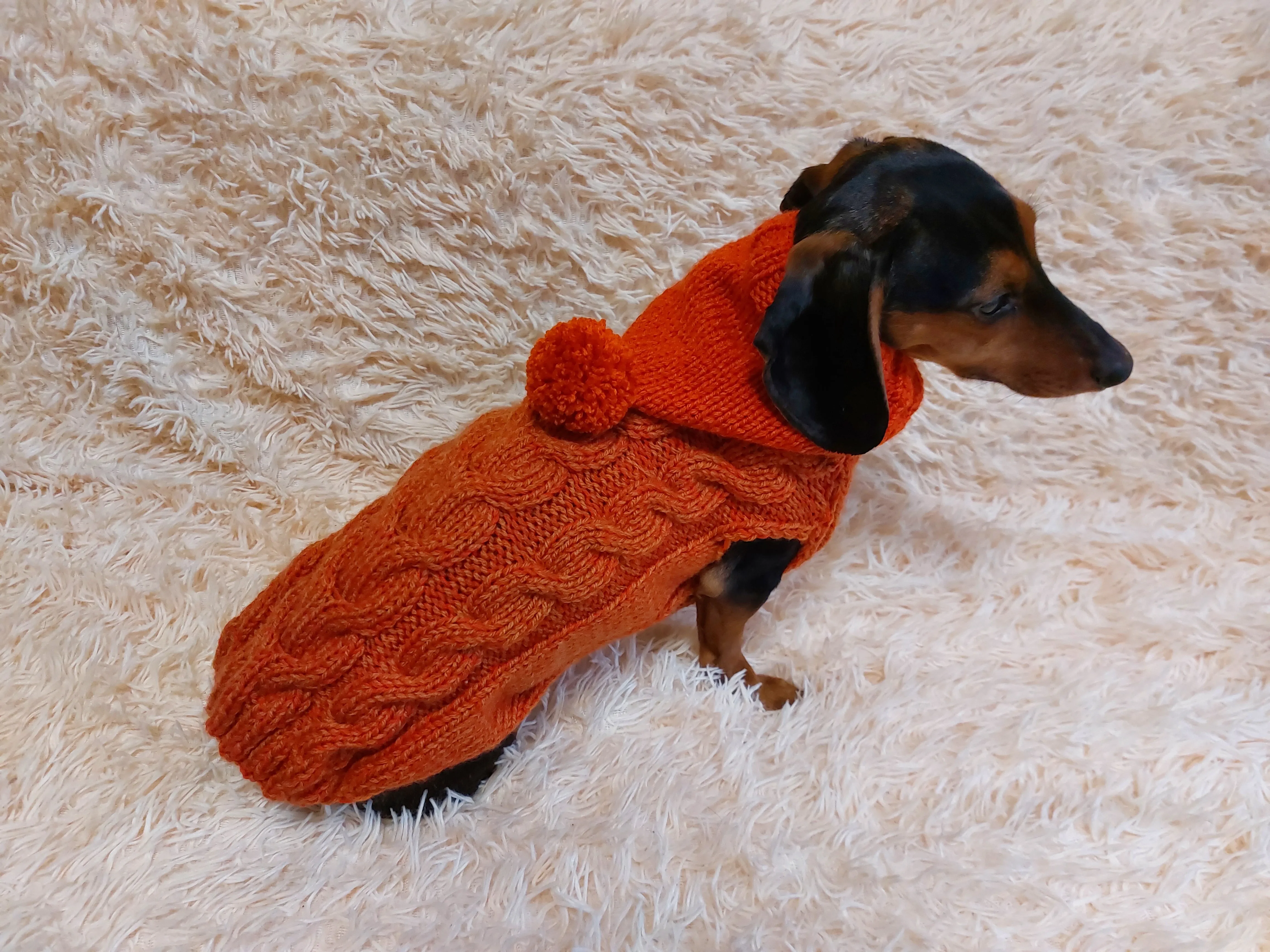 Dachshund clothes knitted hoodie sweater, knitted wool sweater for dachshund or small dog