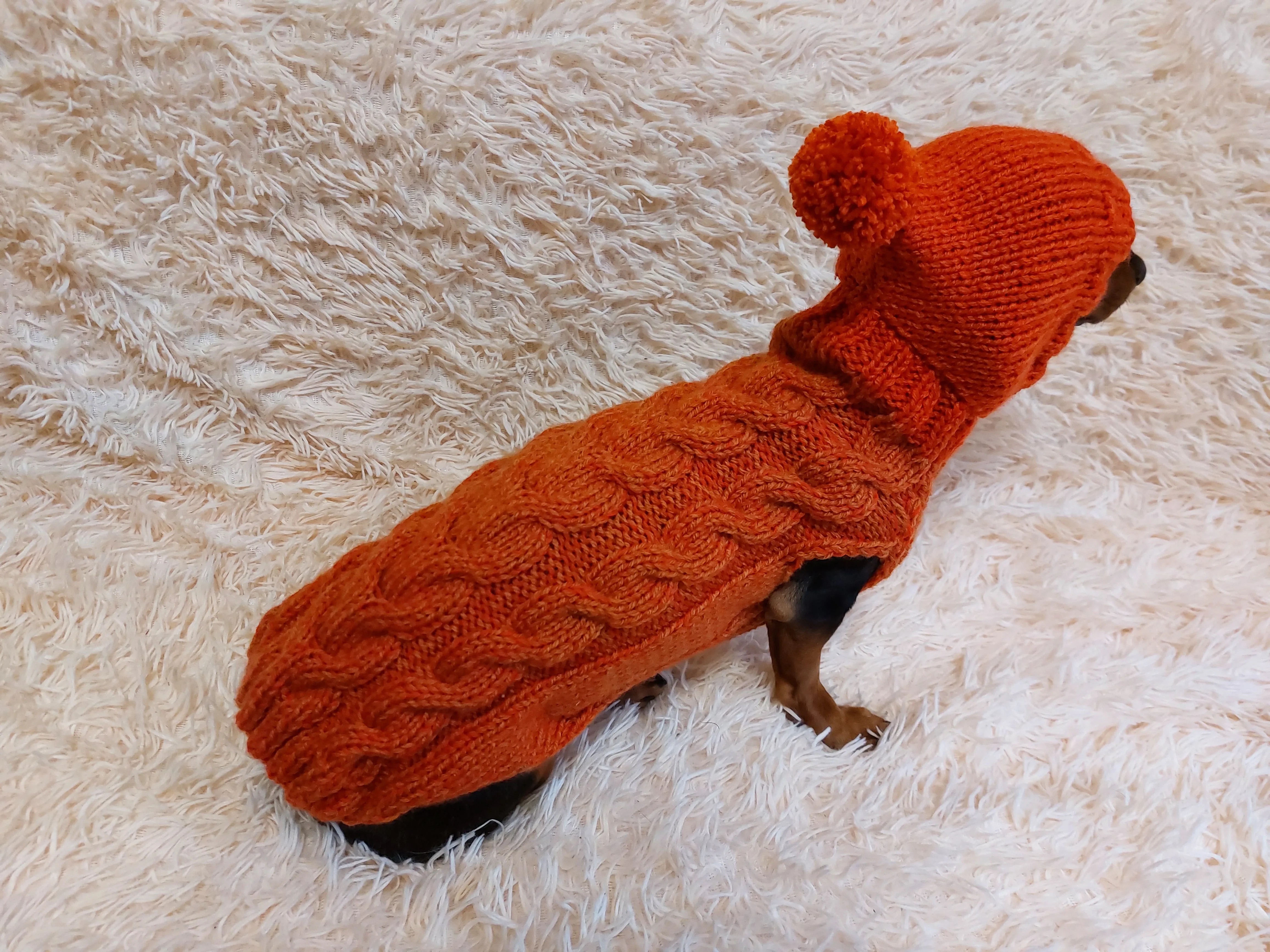 Dachshund clothes knitted hoodie sweater, knitted wool sweater for dachshund or small dog